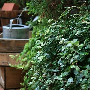 Garden Hotel Kyōto